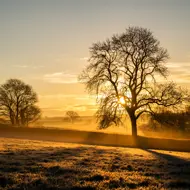 Adobestock 75954698